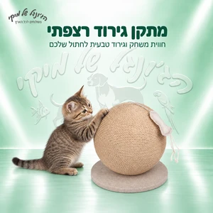 מתקן גירוד רצפתי Atlas לחתול 27×29×29 ס״מ