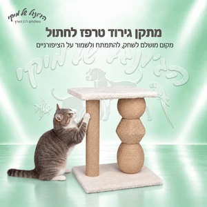 מתקן גירוד טרפז לחתול 53×40×30 ס״מ