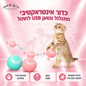 צעצוע USB כדור לחתול