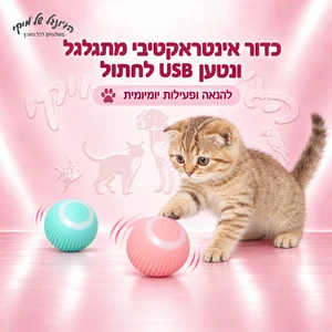 צעצוע USB כדור לחתול