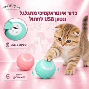 צעצוע USB כדור לחתול
