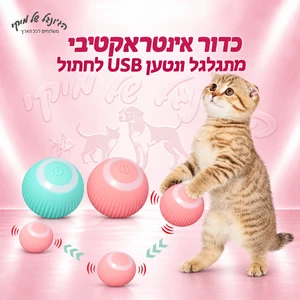 צעצוע USB כדור לחתול