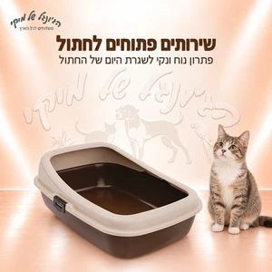 שירותים פתוחים לחתול PlastArt 58×38×12 ס״מ
