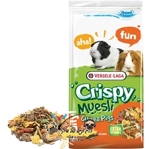 VERSELE-LAGA-מזון מכרסמים קריספי לשרקן 1 ק"ג