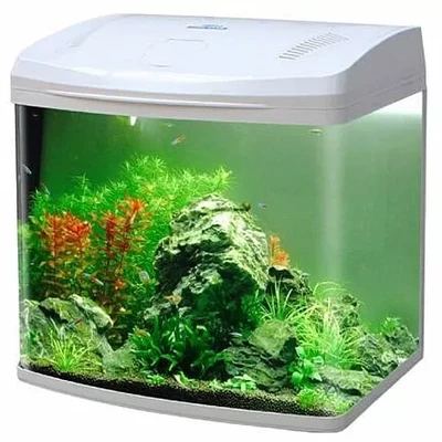 אקווריום עם תאורת לד 60 ס"מ לבן B260