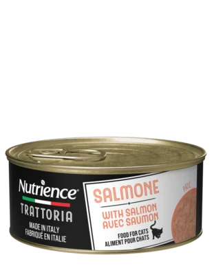Nutrience-נוטריאנס פטה סלמון לחתולים 85g