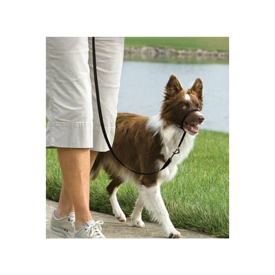 Easy Walk קולר ראש 11 ק"ג - 27 ק"ג שחור - מערכת אילוף קולרים לראש PetSafe.