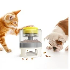 משחק מחשבה לכלב וחתול