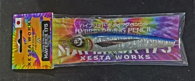 XESTA MAVERICK 175 PG.014