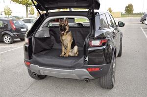 כיסוי לבגאז הרכב