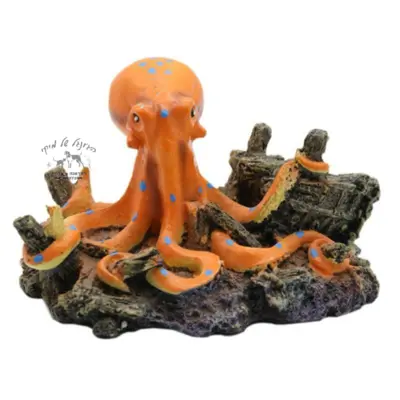 דקורציה תמנון