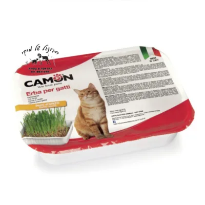 דשא לחתול קמון B162