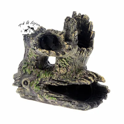 דקורציה גזע 15/13 ס"מ