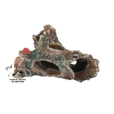 דקורציה גזע 15/9 ס"מ