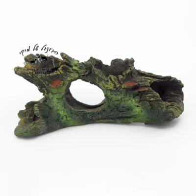 דקורציה גזע 15/7 ס"מ