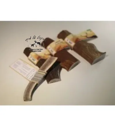 קרן אייל אדום S חצויה 45-55G