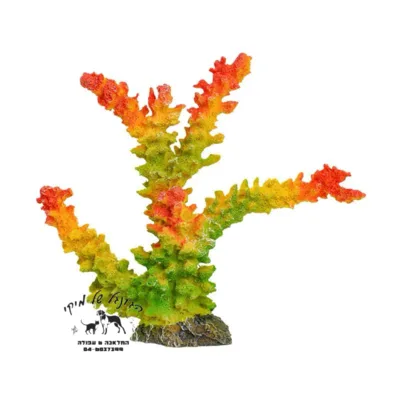 דקורציה אלמוג צבעוני