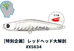 IMA YOICHI 80 18G X5634