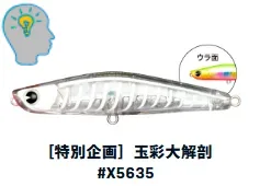 IMA YOICHI 80 18G X5635