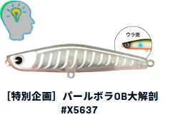 IMA YOICHI 80 18G X5637
