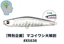 IMA YOICHI 80 18G X5636