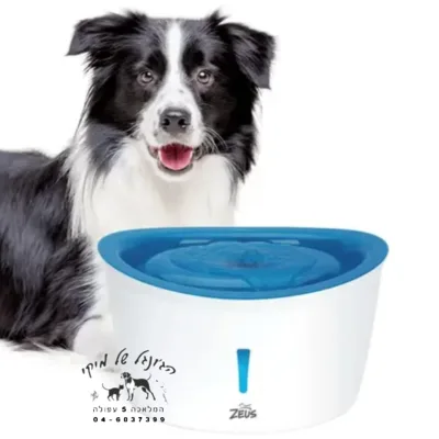ZEUS מזרקת מים לכלב 6 ליטר