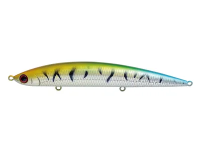 Jackson Athlete 12SSP 33G FSM
