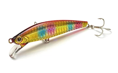 Jackson Pin Tail Sagoshi Tune 20g #NSG