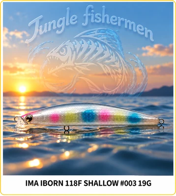 IMA IBORN 118F SHALLOW #003 19G