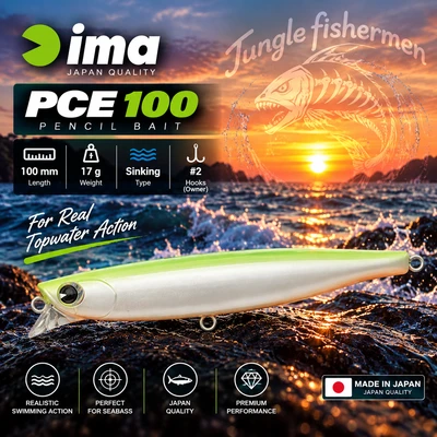 Ima - PCE 100/17g Sinking 102