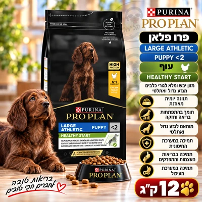 פרו פלאן HEALTHY START מזון יבש ומלא לגורי כלבים מגזע גדול ואתלטי - עוף 12kg