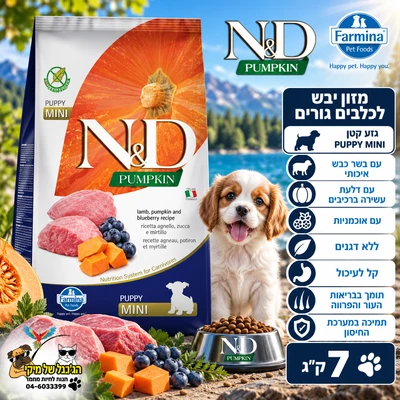 ND אושן קוד דלעת מלון כלב גורים מיני 7kg