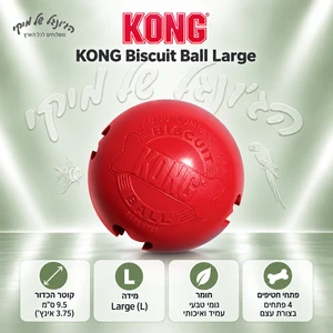 כדור חטיפים לכלבים KONG Biscuit Ball Classic Large (L)