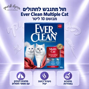 אברקלין מולטי קט חול מתגבש איכותי לחתולים 10 ליטר - Ever Clean