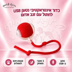 צעצוע USB כדור לחתול עם שרוך