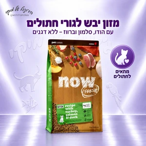 מזון יבש NOW Fresh נאו פרש לגורי חתולים הודו, סלמון וברווז ללא דגנים – 3.63 ק"ג