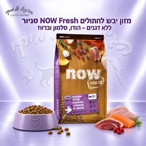 מזון יבש לחתולים NOW Fresh סניור ללא דגנים – הודו, סלמון וברווז 3.63 ק״ג