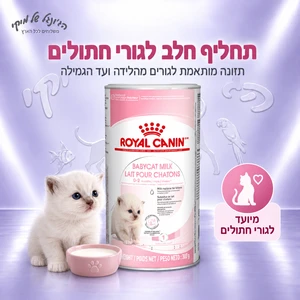 תחליף חלב לגורי חתולים ROYAL CANIN Babycat Milk 300 גרם